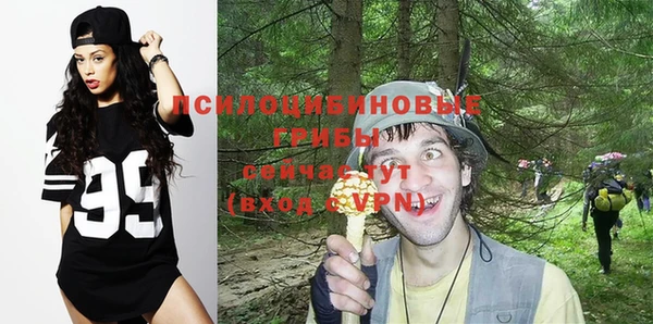 шишки Алексеевка