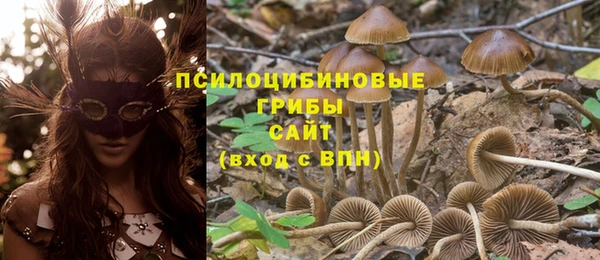 МДПВ Алексин