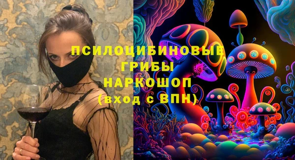 МДПВ Алексин