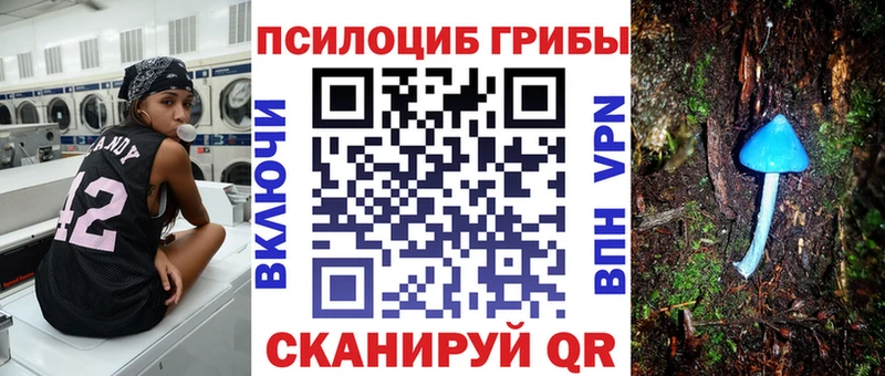 Псилоцибиновые грибы Psilocybine cubensis Старый Оскол